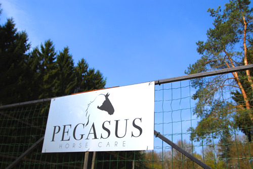 Pegasus Limburg